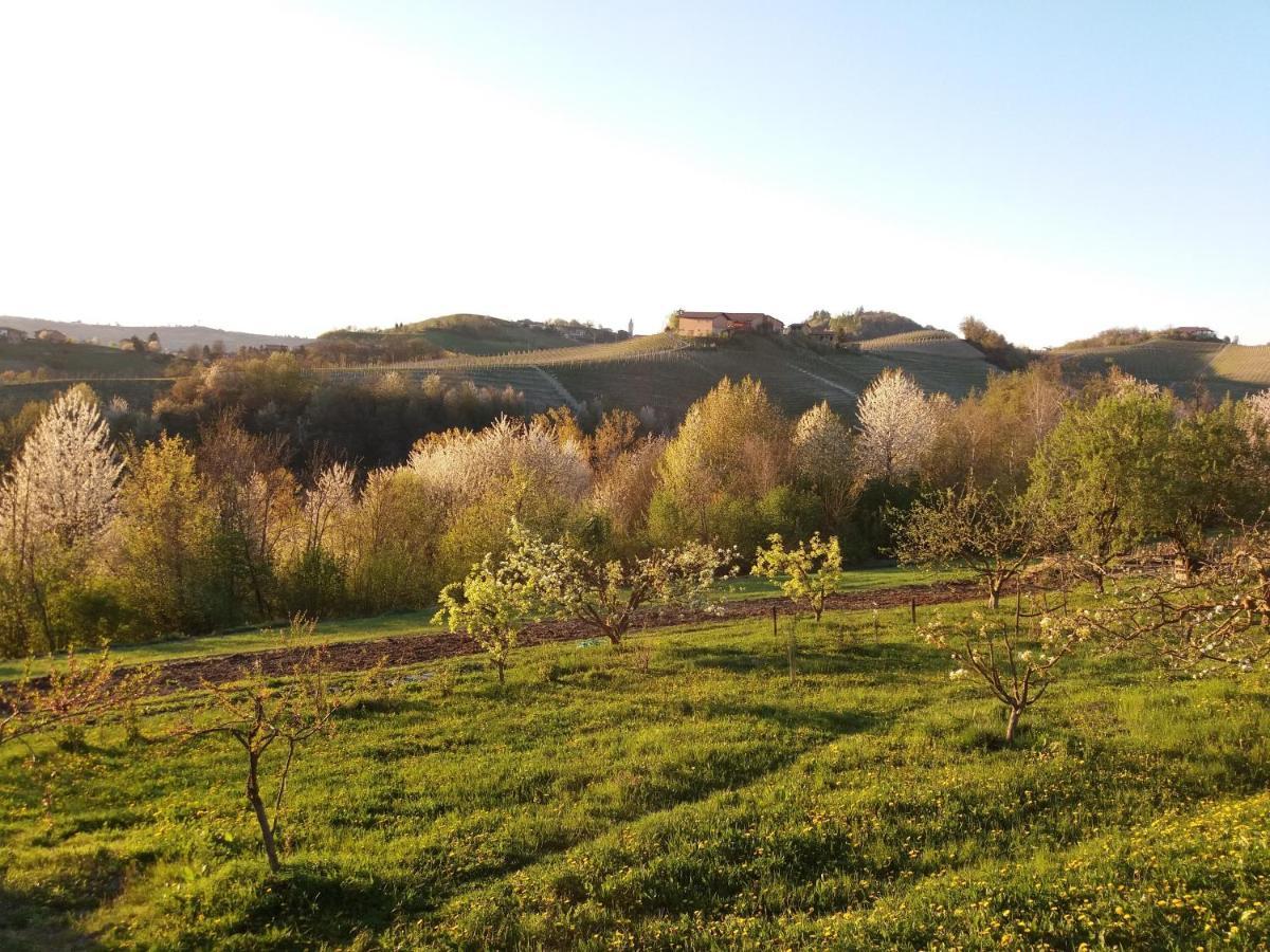 B&B Sant'Anna 21 Monforte dʼAlba Zewnętrze zdjęcie