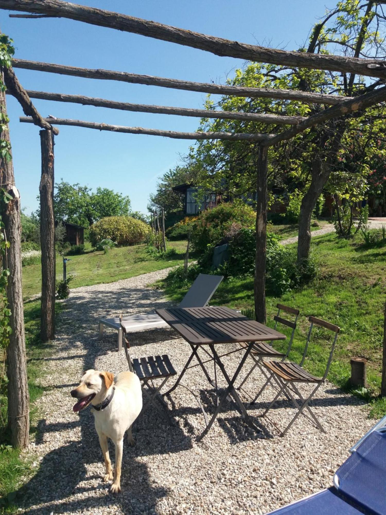B&B Sant'Anna 21 Monforte dʼAlba Zewnętrze zdjęcie